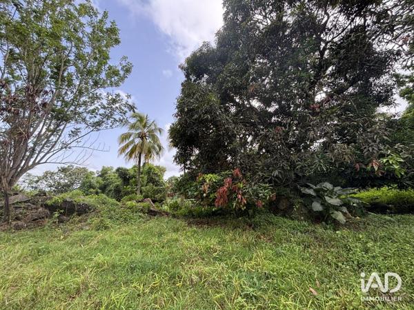 Terrain à vendre 2 535 m² Le Lamentin