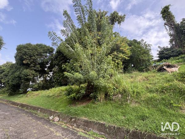 Terrain à vendre 2 535 m² Le Lamentin