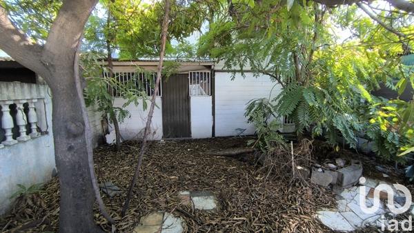 Maison 3 pièces de 75 m² à Saint-Louis (97450)