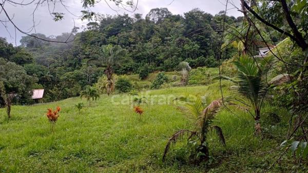 Dpt Guyane (973), à vendre Terrain Constructible de 11 198 m² à Matoury – Chemin Paramana