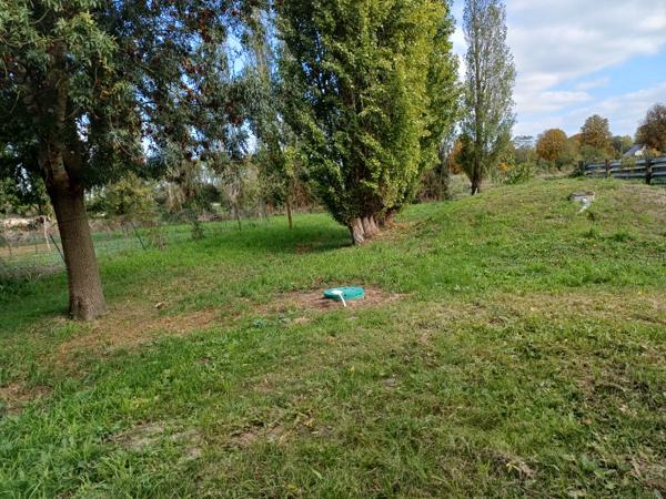 Charmante longère de 130 m² à Brain-sur-Allonnes, proche de Saumur (49400)