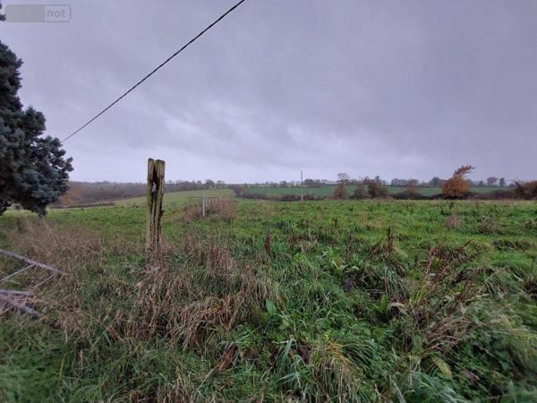 Maison à vendre à Cossé-le-Vivien en Mayenne (53230), ref : 53032-979