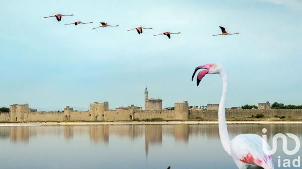 Maison à vendre 4 pièces 110 m² Aigues-Mortes