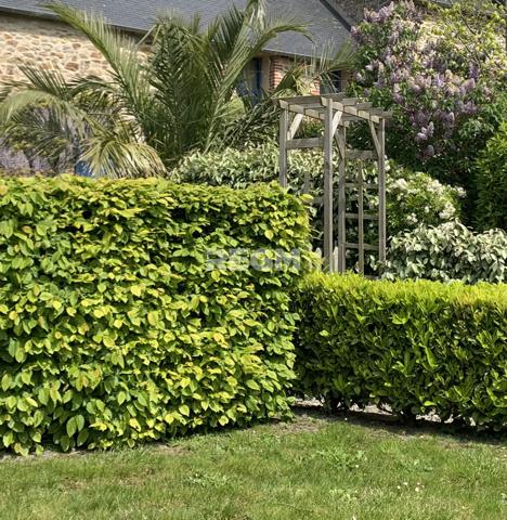 Dol-de-Bretagne (35120) Baie du Mont-Saint-Michel - Propriété d’exception pour Chef Cuisinier - Activités touristiques et événementiel