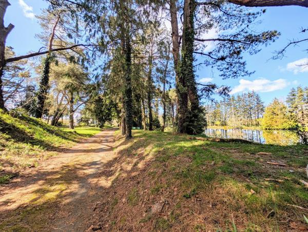 Parc Naturel de la Brière, Maison sur 2,5 hectares, forêt, étang, prairies
