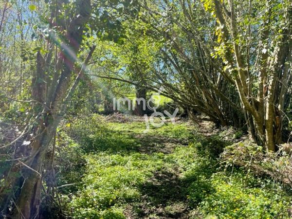 Proche Condé sur Huisne, en fin de hameau, maison de pays à rénover sur 2450 m² de terrain....