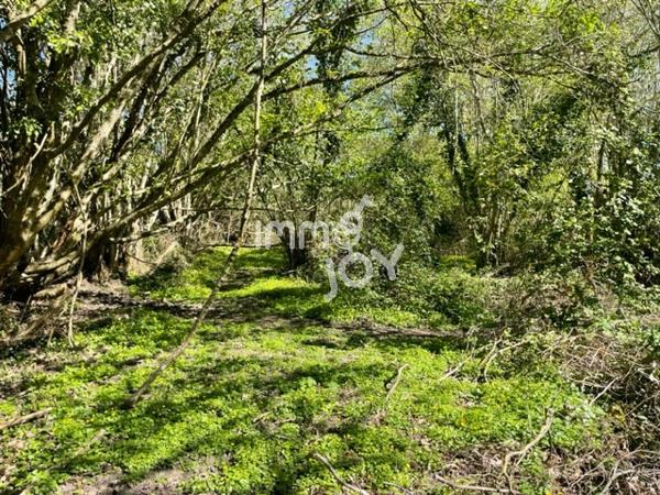Proche Condé sur Huisne, en fin de hameau, maison de pays à rénover sur 2450 m² de terrain....