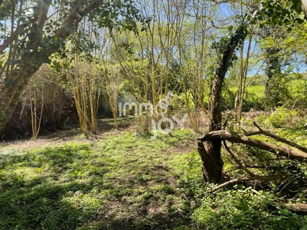 Proche Condé sur Huisne, en fin de hameau, maison de pays à rénover sur 2450 m² de terrain....