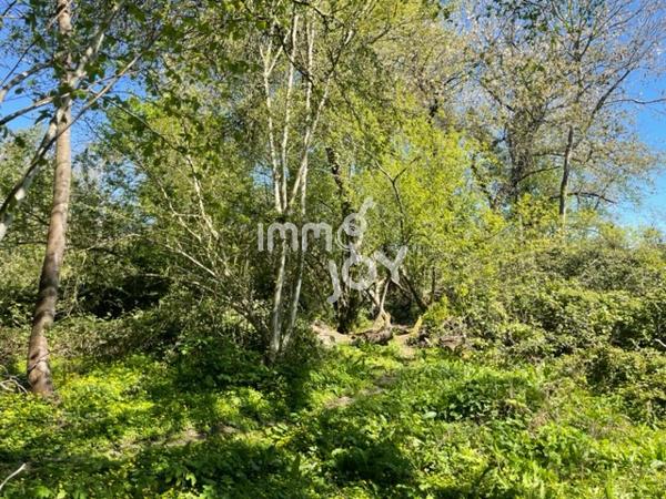 Proche Condé sur Huisne, en fin de hameau, maison de pays à rénover sur 2450 m² de terrain....