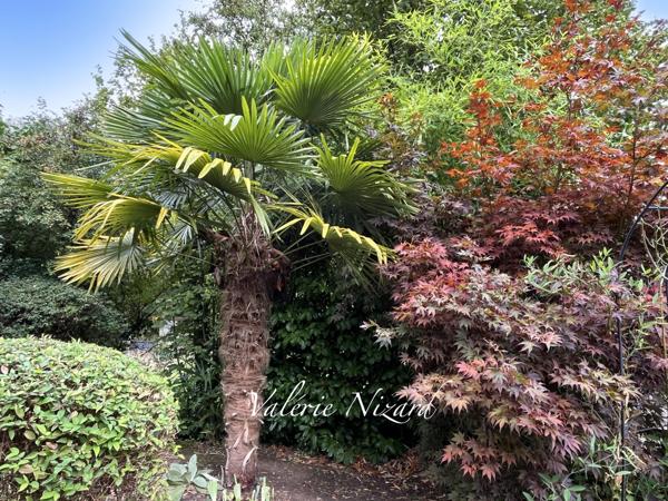 Vente / Maison d'architecte