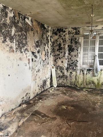 Vente / Ensemble de 2 maisons