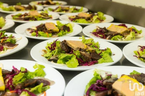 three-star hotel for sale 1 100 m² Castéra-Verduzan