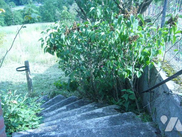 MAISON EN POSITION DOMINANTE