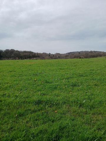 Maison, granges et 15 hectares de terres agricoles