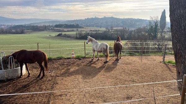 À vendre : Propriété d’exception à Manosque