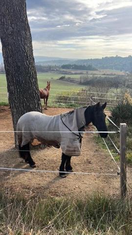 À vendre : Propriété d’exception à Manosque