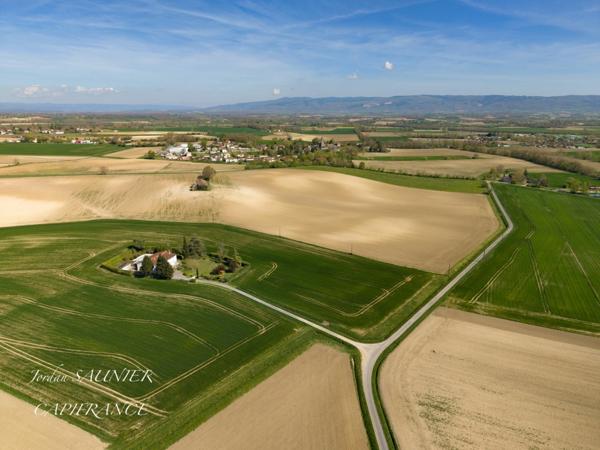 Dpt Tarn (81), à vendre Puylaurens maison P7 de 320 m² - Terrain de 3000 m²