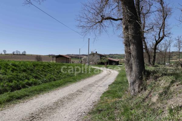 Propriété rénovée avec dépendances – Un havre de paix Proche de Puylaurens