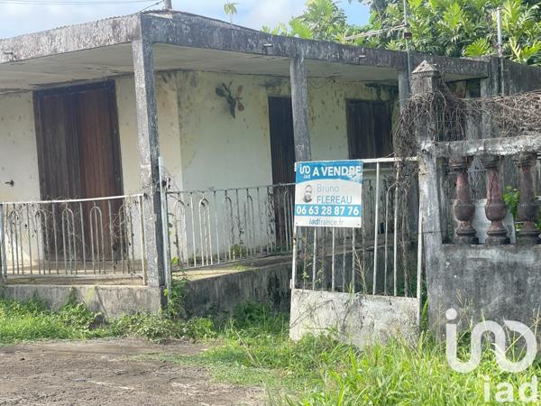 Terrain à vendre 2 620 m² Petit-Bourg