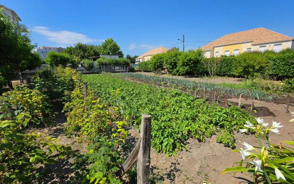 Terrain à vendre