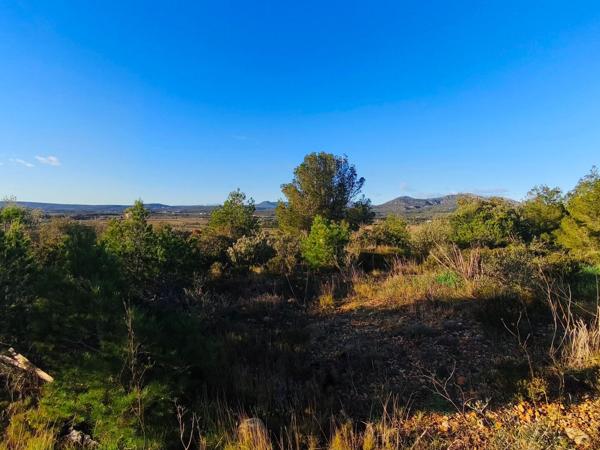 TERRAIN A BATIR DE 1 178 m² à LA PALME