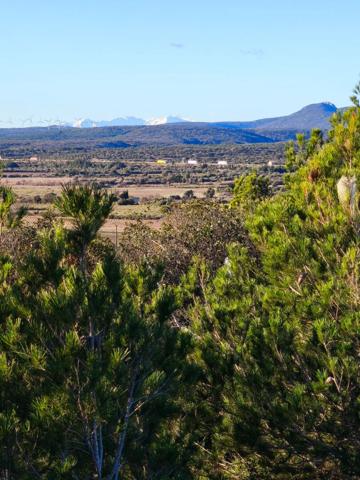 TERRAIN A BATIR DE 1 178 m² à LA PALME