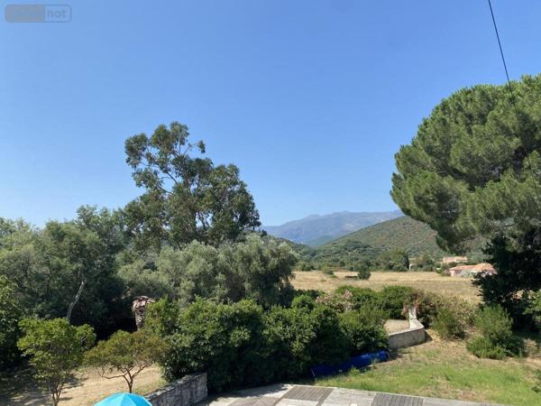 Maison à vendre à Saint-Florent en Haute-Corse (20217), ref : 45050-1341