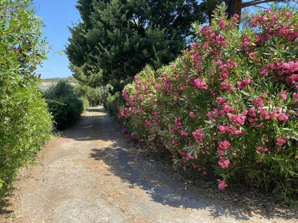 Maison à vendre à Saint-Florent en Haute-Corse (20217), ref : 45050-1341