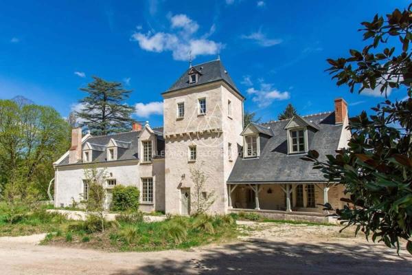 Chateau du XIV eme siècle superbement restauré a 10min de Blois