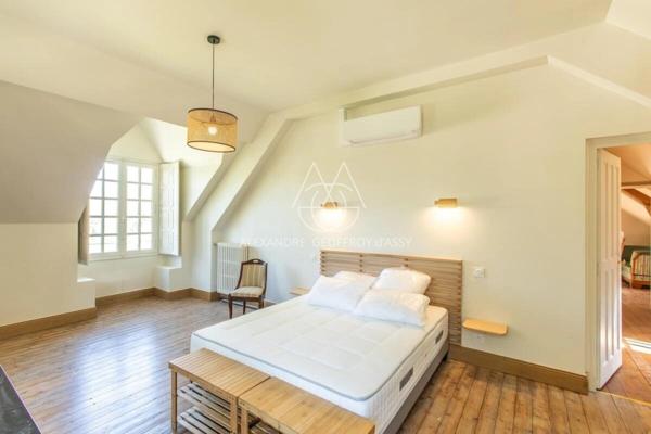 Chateau du XIV eme siècle superbement restauré a 10min de Blois