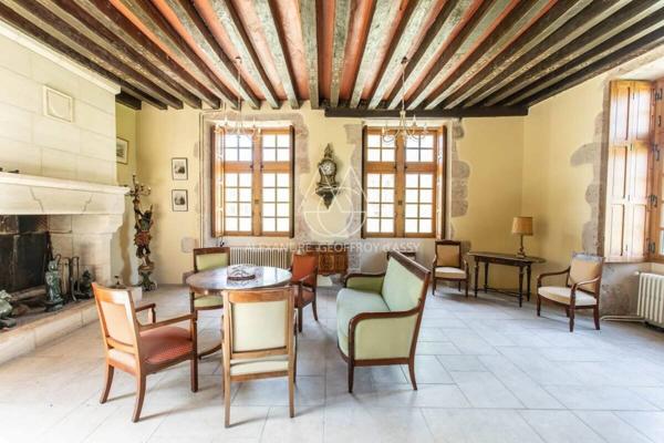 Chateau du XIV eme siècle superbement restauré a 10min de Blois