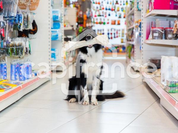 A louer proche de LILLE (59) - Local 657 m2 en retail park - Axe passant