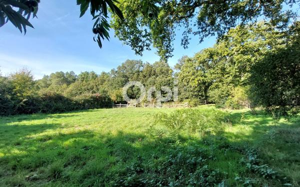 Maison à vendre    5 pièces •  Nivillac