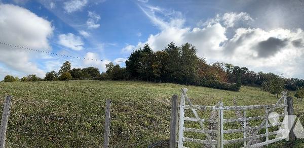 A GOUFFERN EN AUGE - SURVIE (ORNE) - Maison en ruines des 17ème et 18ème siècles à rénover
