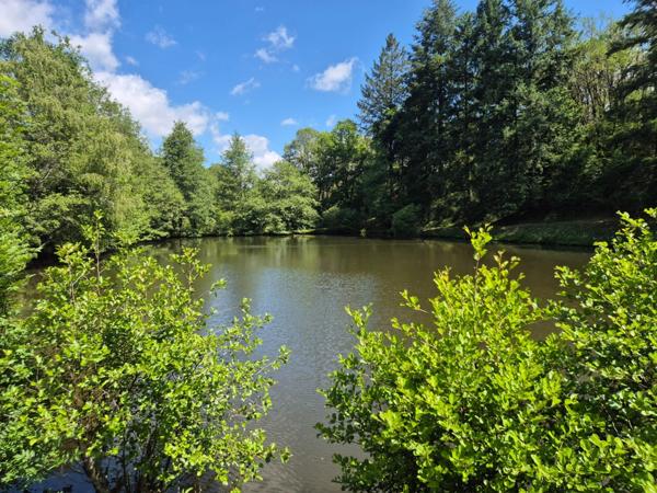 Deux beaux étangs, 6500 m2 d'eau pour pêche et loisirs sur un espace total de deux hectares de terrains
