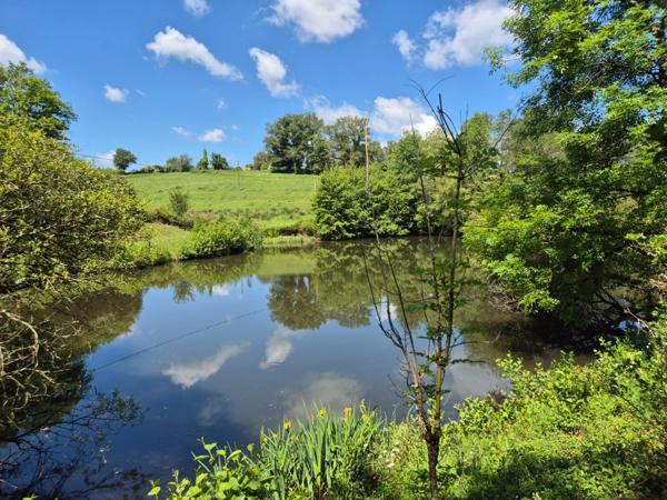 Deux beaux étangs, 6500 m2 d'eau pour pêche et loisirs sur un espace total de deux hectares de terrains