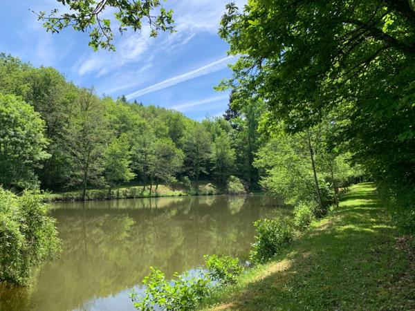 Deux beaux étangs, 6500 m2 d'eau pour pêche et loisirs sur un espace total de deux hectares de terrains