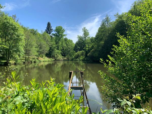 Deux beaux étangs, 6500 m2 d'eau pour pêche et loisirs sur un espace total de deux hectares de terrains