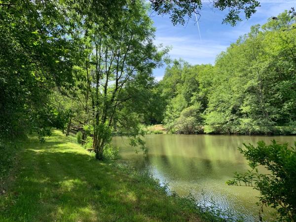 Deux beaux étangs, 6500 m2 d'eau pour pêche et loisirs sur un espace total de deux hectares de terrains