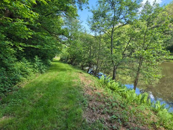 Deux beaux étangs, 6500 m2 d'eau pour pêche et loisirs sur un espace total de deux hectares de terrains