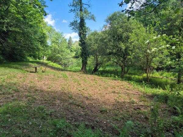 Deux beaux étangs, 6500 m2 d'eau pour pêche et loisirs sur un espace total de deux hectares de terrains