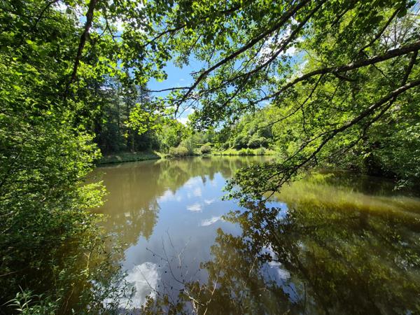 Deux beaux étangs, 6500 m2 d'eau pour pêche et loisirs sur un espace total de deux hectares de terrains