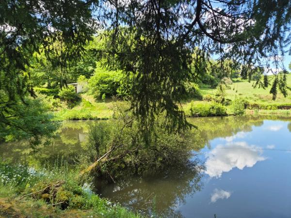 Deux beaux étangs, 6500 m2 d'eau pour pêche et loisirs sur un espace total de deux hectares de terrains