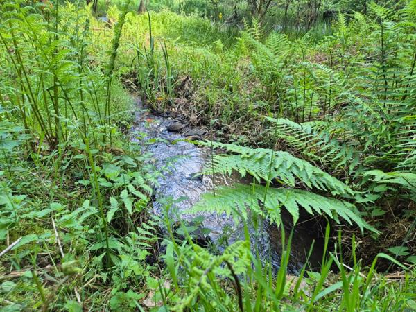 Deux beaux étangs, 6500 m2 d'eau pour pêche et loisirs sur un espace total de deux hectares de terrains
