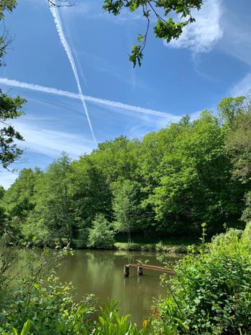 Deux beaux étangs, 6500 m2 d'eau pour pêche et loisirs sur un espace total de deux hectares de terrains