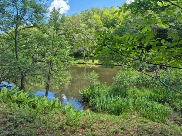 Deux beaux étangs, 6500 m2 d'eau pour pêche et loisirs sur un espace total de deux hectares de terrains