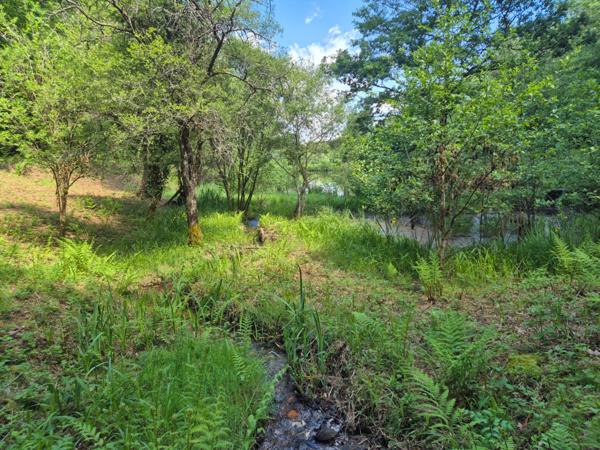 Deux beaux étangs, 6500 m2 d'eau pour pêche et loisirs sur un espace total de deux hectares de terrains