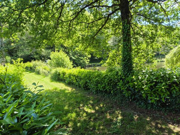 Deux beaux étangs, 6500 m2 d'eau pour pêche et loisirs sur un espace total de deux hectares de terrains
