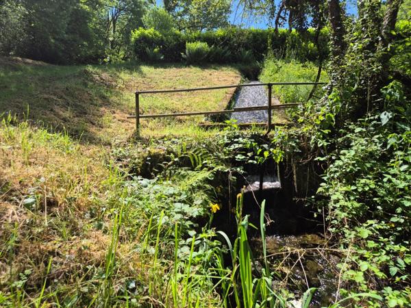Deux beaux étangs, 6500 m2 d'eau pour pêche et loisirs sur un espace total de deux hectares de terrains