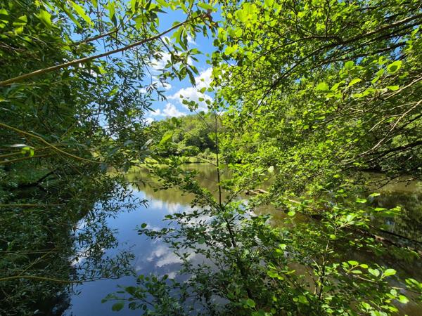 Deux beaux étangs, 6500 m2 d'eau pour pêche et loisirs sur un espace total de deux hectares de terrains